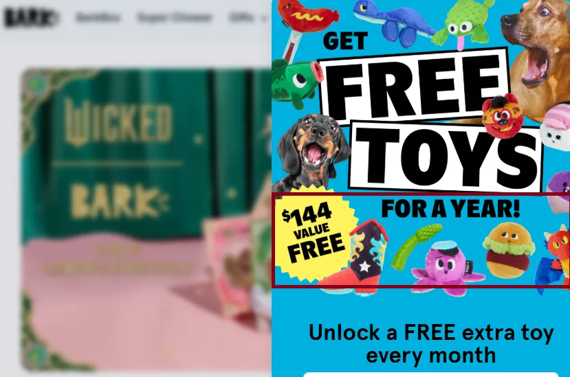 Barkbox Subscription Offer.webp