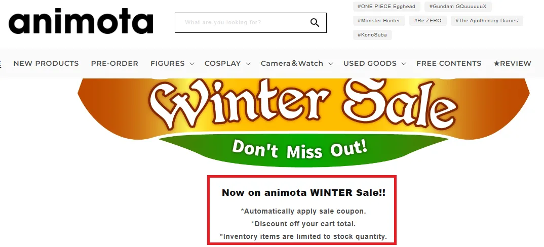 animota_winter_sale.webp