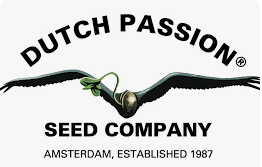 Dutch Passion