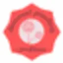 Diamond Painting Creations