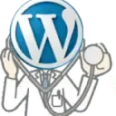 Doktor WordPress SEO