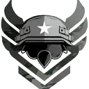 Camo Division
