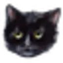 Cat By Maniita Lacitta