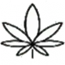 Cbd Fleurs De Montagne