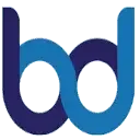 BDWEB IT
