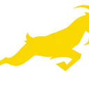 G.O.A.T. Paddle