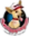 Hushpuppydog