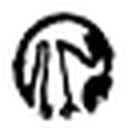 Jason Edwards Photography