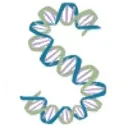 Kristin Moon Science