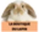 La Boutique Du Lapin