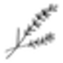 Landseife Manufaktur