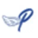 Paint By Numbers Paradise