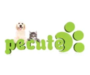 Pecute