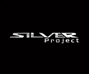 Silver Project