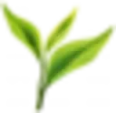 Umamitea